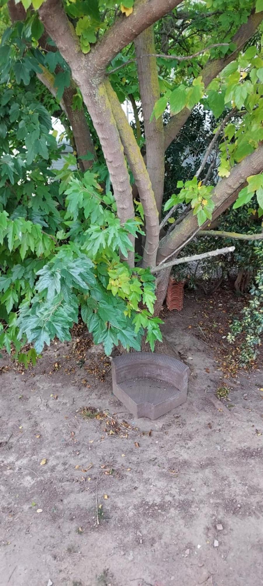 Le Barcares Logement Climatise Pour 6 Personnes, Draps Et Serviettes Non Fournis Air-Conditioned Accommodation For 6 People, Sheets And Towels Not Provided Alojamiento Con Aire Acondicionado Para 6 Personas, Sabanas Y Toallas No Incluidas 外观 照片